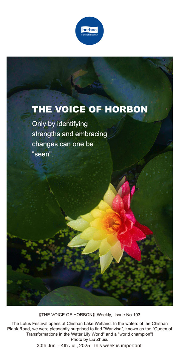 【和之声】找准优势、、、拥抱转变，才华“被望见”。。(总第193期）--2025.6英文导出季度推送用.jpg